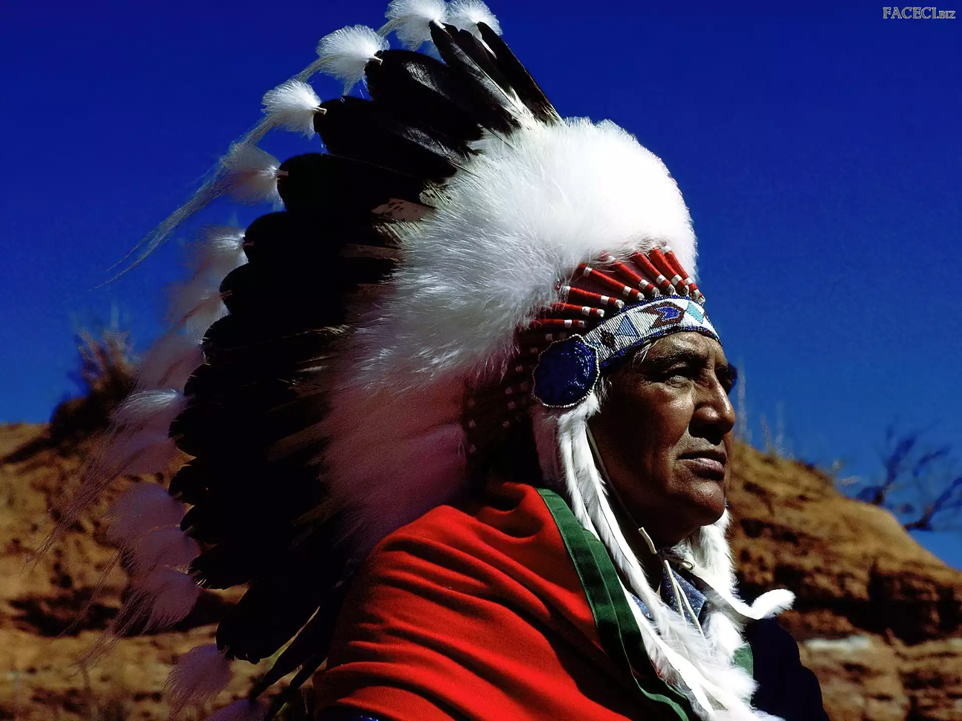 Indianin, Pióropusz